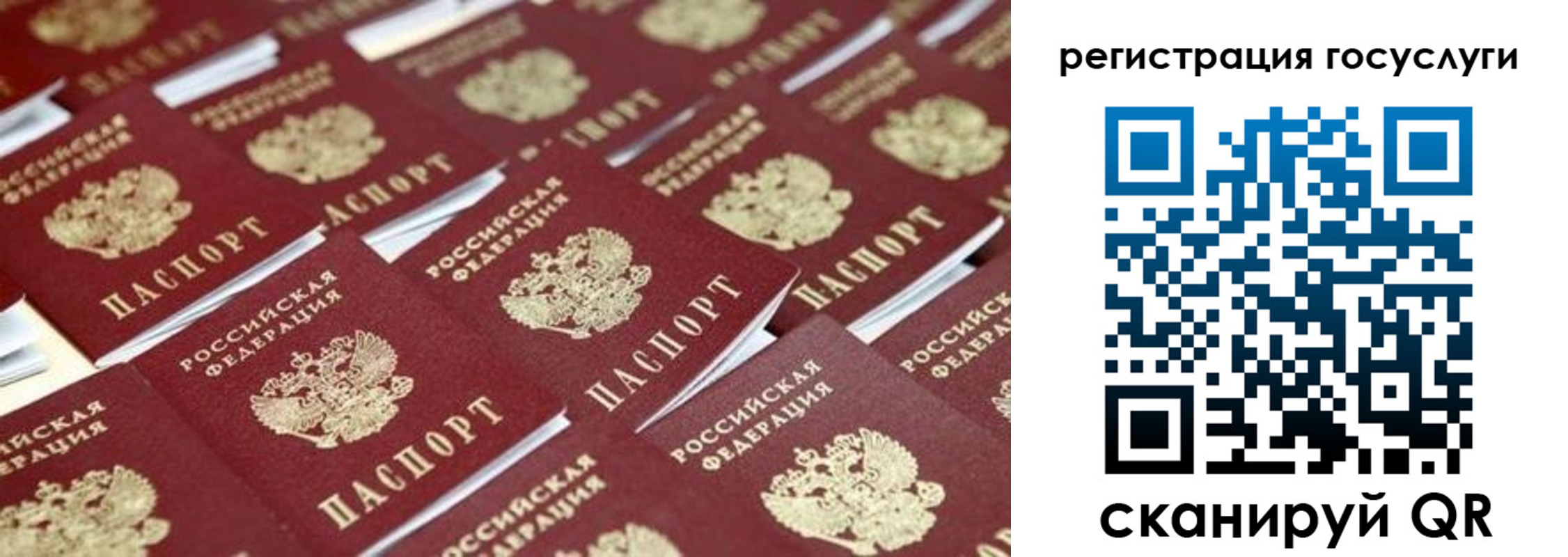 прописка ребенка в Советске